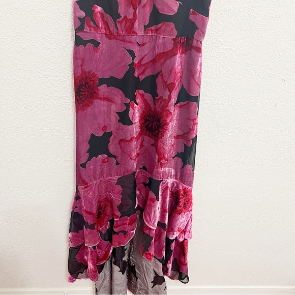 NWT Hutch Royce Floral Print Velvet Tiered Hem Dress - Picture 6 of 10
